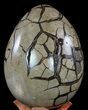 Huge, Septarian Dragon Egg Geode - Black Crystals #60364-4